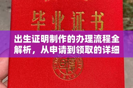 阳信出生证明制作的办理流程全解析，从申请到领取的详细指南